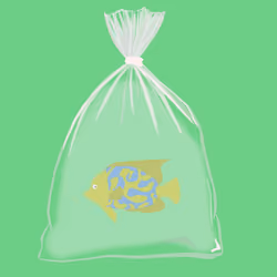 Feesh #623