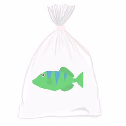 Feesh #2063 "Umad"