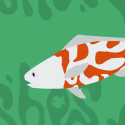 Feesh #1725