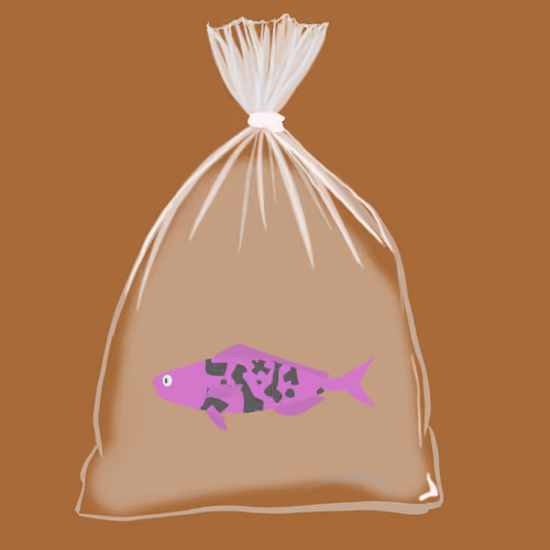 Feesh #315