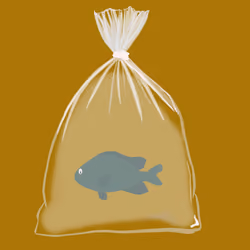 Feesh #1553 " Royal Gramma"