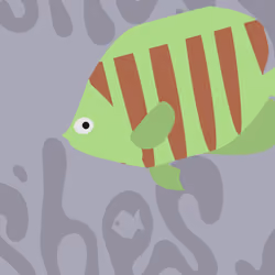 IMAZEBRA