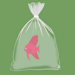Feesh #2936