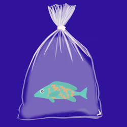 Feesh #465