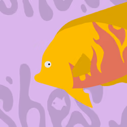 Feesh #4325 "Amy K"