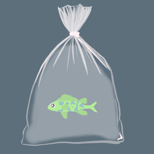 Feesh #376
