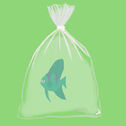 Feesh #1578 "George"