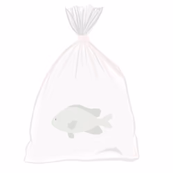 Feesh #3988 "Casper"