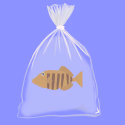 Feesh #415
