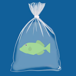 Feesh #673