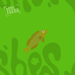 Feesh #3327 "Smalls"