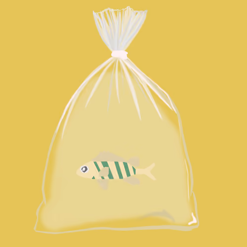 Feesh #544