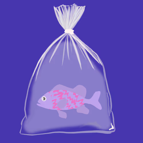 Feesh #943