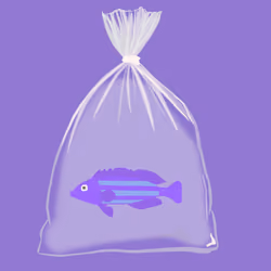 Feesh #925 "Padmundo"