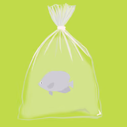 Feesh #2038