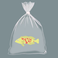 Feesh #1053