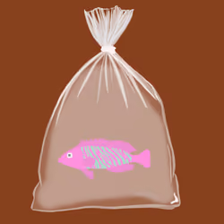 Feesh #3309