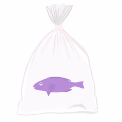 Feesh #3054