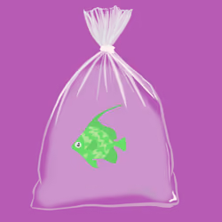 Feesh #3053