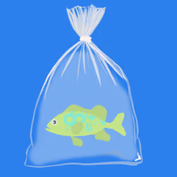 Feesh #1401 "Larry"