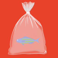Feesh #3475
