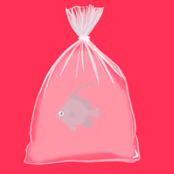 Feesh #3308