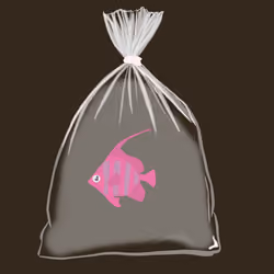 Feesh #1213