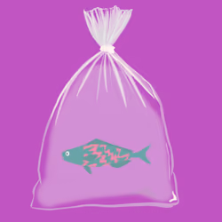 Feesh #1902 "MattyBoomBoom"