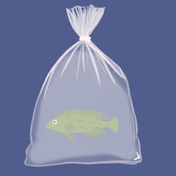 Feesh #3728