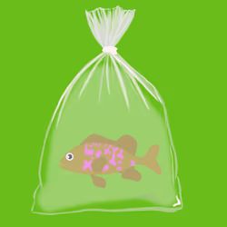Feesh #1903 "BrownMamba"