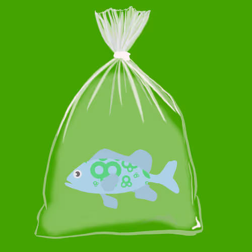 Feesh #1583