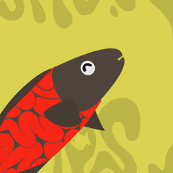 Feesh #3646 "Feesh  FastEddie"