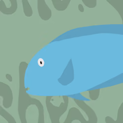 Feesh #1710 " Ted"