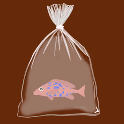 Feesh #350