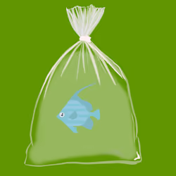 Feesh #2524