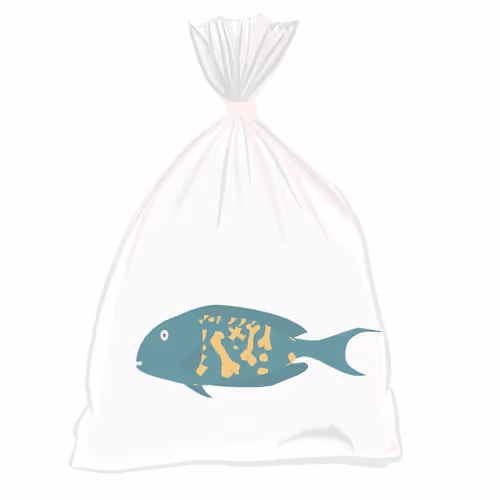 Feesh #1380
