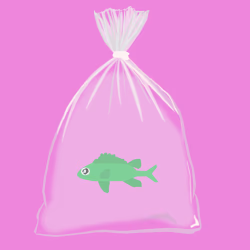 Feesh #2537
