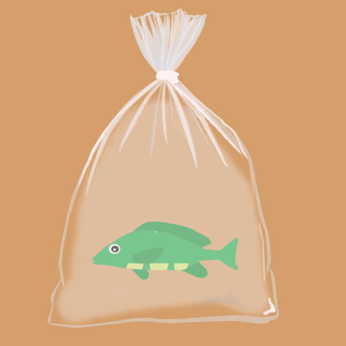 Feesh #1992 "Pitinec"