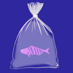 Feesh #2660