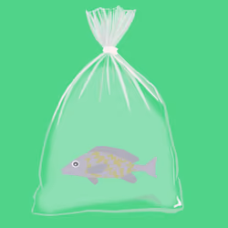 Feesh #302