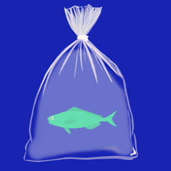 Feesh #2935