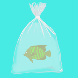 Feesh #4101