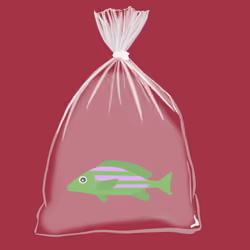 Feesh #216