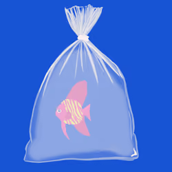 Feesh #4103
