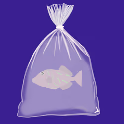 Feesh #4039