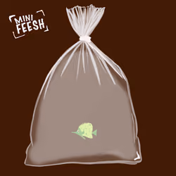 Feesh #3329