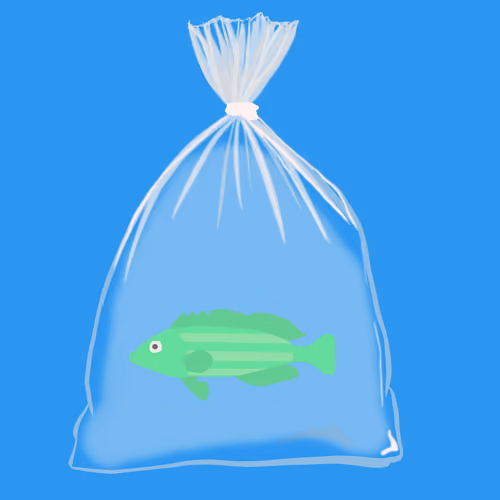 Feesh #738