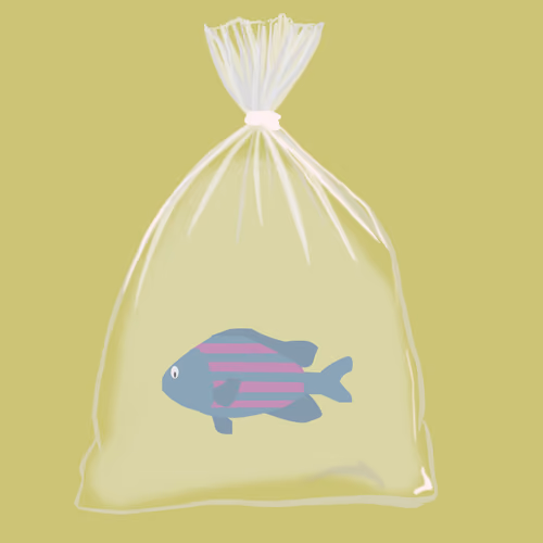 Feesh #111