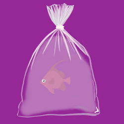 Feesh #242 "Channel"