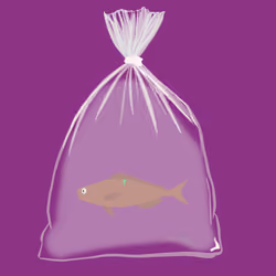Feesh #1183 "Donkey Donk"